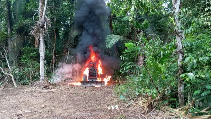 PF e Ibama realizam Operação Independência contra extração ilegal em Terra Indígena de Rondônia